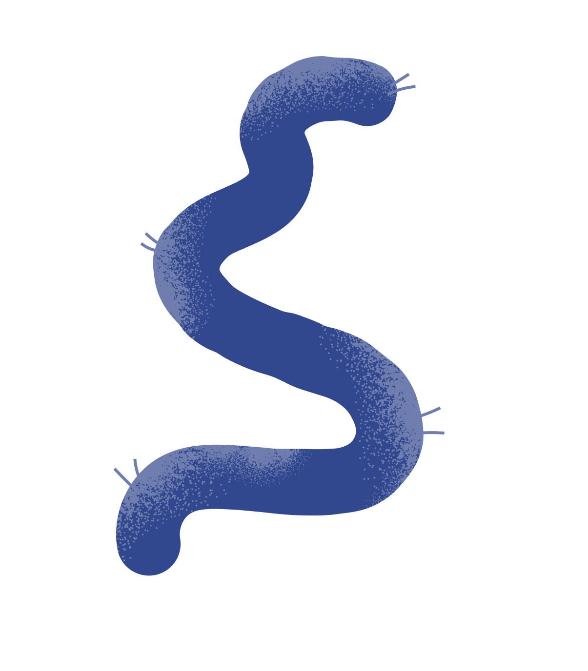 Illustration of a bacteria